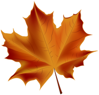 Ofertas de otoño ya están en Madrid